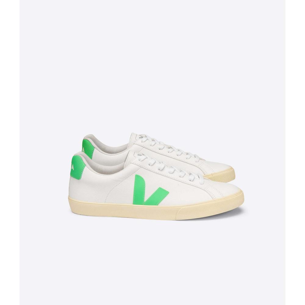 Veja ESPLAR CHROMEFREE Men\'s Shoes White/Green | NZ 192EBC